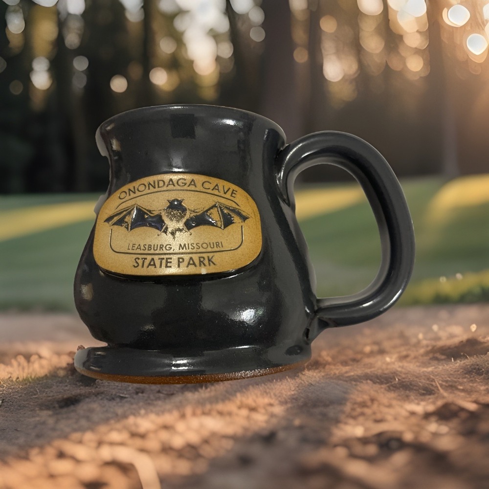 READ Bats Onondaga Cave Leasburg Mo. State Park Potbelly Mug Cup Gray Stoneware